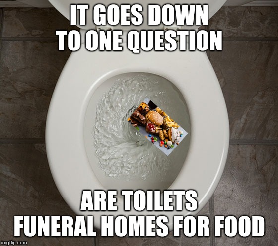 Toliet | IT GOES DOWN TO ONE QUESTION; ARE TOILETS FUNERAL HOMES FOR FOOD | image tagged in toliet | made w/ Imgflip meme maker
