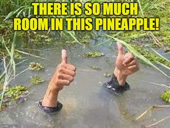 FLOODING THUMBS UP | THERE IS SO MUCH ROOM IN THIS PINEAPPLE! | image tagged in flooding thumbs up | made w/ Imgflip meme maker