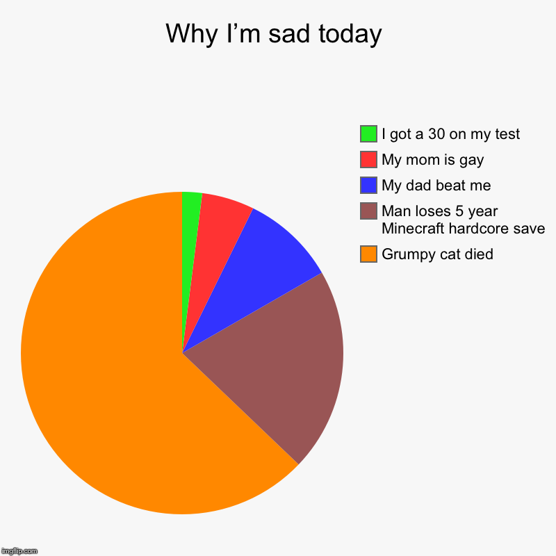 Why I’m sad today | Grumpy cat died, Man loses 5 year Minecraft hardcore save, My dad beat me, My mom is gay, I got a 30 on my test | image tagged in charts,pie charts | made w/ Imgflip chart maker