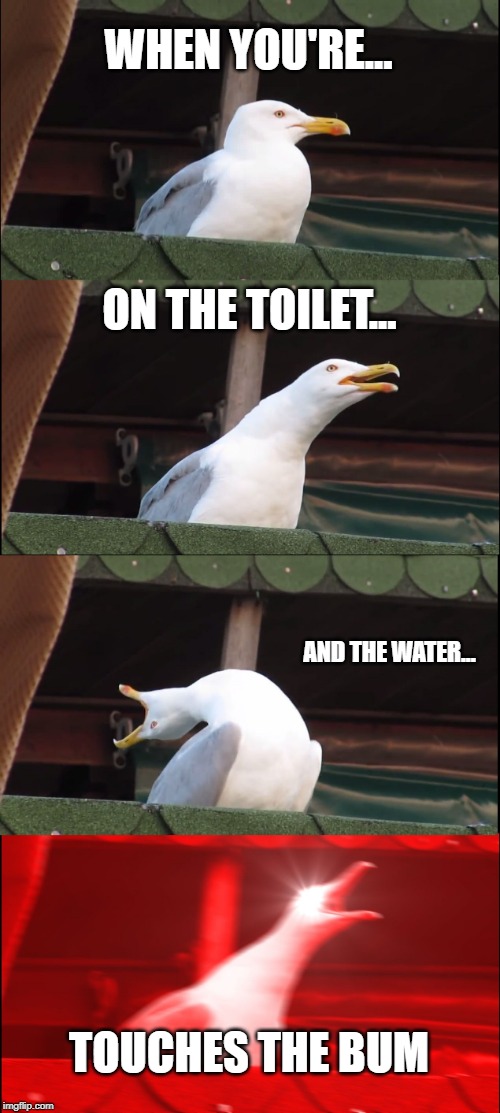 Inhaling Seagull Meme | WHEN YOU'RE... ON THE TOILET... AND THE WATER... TOUCHES THE BUM | image tagged in memes,inhaling seagull | made w/ Imgflip meme maker