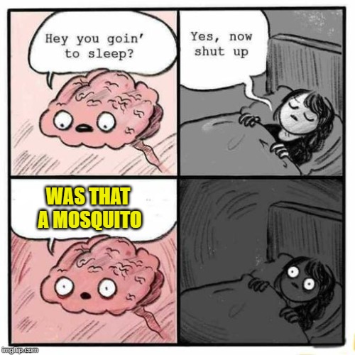 Happened to me last night | WAS THAT A MOSQUITO | image tagged in hey you going to sleep,mosquito attack,shut up brain | made w/ Imgflip meme maker