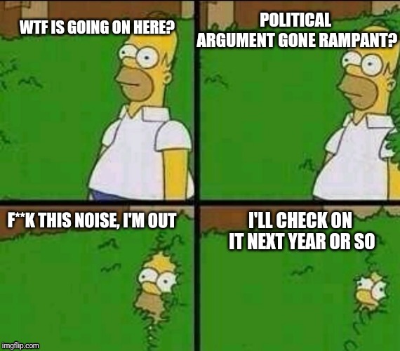 Hiding from politics | image tagged in homer simpson,homer bush,politics,political meme,politics suck,the simpsons | made w/ Imgflip meme maker