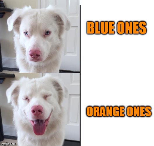 Expanding dog | BLUE ONES ORANGE ONES | image tagged in expanding dog | made w/ Imgflip meme maker
