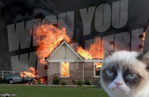 Burn Kitty Meme | WISH YOU WERE HERE | image tagged in memes,burn kitty,grumpy cat | made w/ Imgflip meme maker