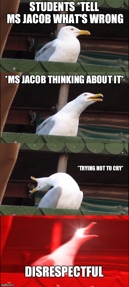 Inhaling Seagull Meme | STUDENTS *TELL MS JACOB WHAT'S WRONG; *MS JACOB THINKING ABOUT IT*; *TRYING NOT TO CRY*; DISRESPECTFUL | image tagged in memes,inhaling seagull | made w/ Imgflip meme maker
