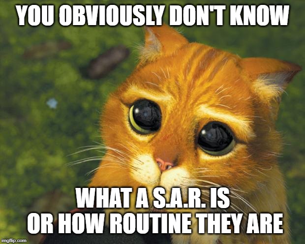puss in boots | YOU OBVIOUSLY DON'T KNOW WHAT A S.A.R. IS OR HOW ROUTINE THEY ARE | image tagged in puss in boots | made w/ Imgflip meme maker