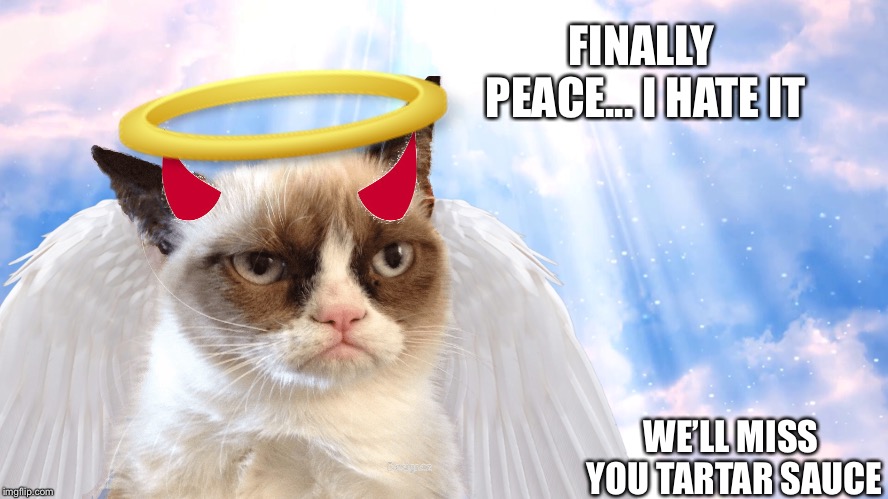 cats press f to pay respects Memes & GIFs - Imgflip