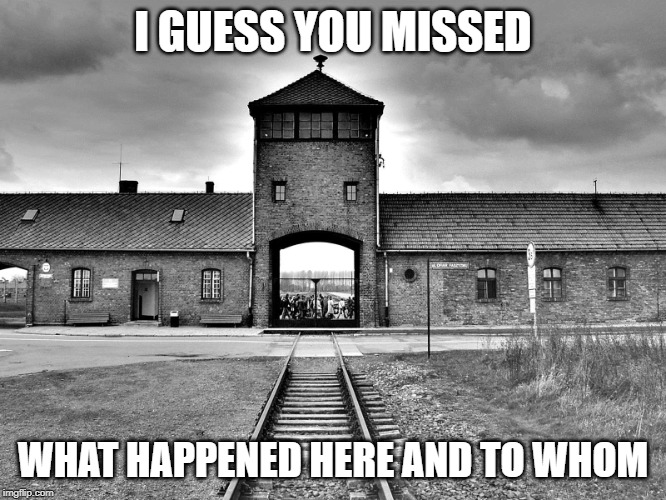 aushwitz | I GUESS YOU MISSED WHAT HAPPENED HERE AND TO WHOM | image tagged in aushwitz | made w/ Imgflip meme maker