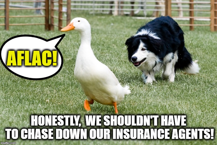 Am I right?? | AFLAC! HONESTLY,  WE SHOULDN'T HAVE TO CHASE DOWN OUR INSURANCE AGENTS! | image tagged in aflac,insurance,lol | made w/ Imgflip meme maker
