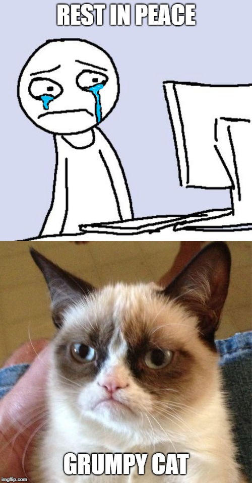 Rest in peace grumpy cat, you will live forever in out hearts... |  REST IN PEACE; GRUMPY CAT | image tagged in memes,crying computer reaction,rip grumpy cat | made w/ Imgflip meme maker