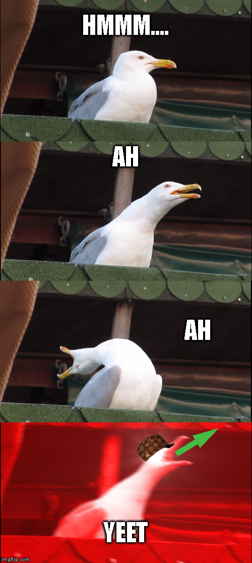 Inhaling Seagull | HMMM.... AH; AH; YEET | image tagged in memes,inhaling seagull | made w/ Imgflip meme maker