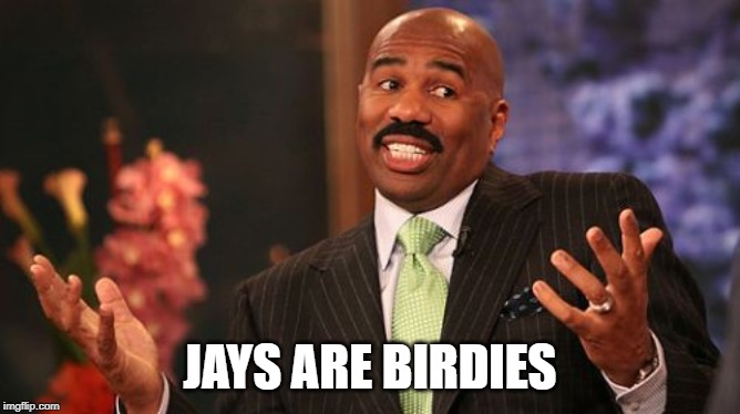 Steve Harvey Meme | JAYS ARE BIRDIES | image tagged in memes,steve harvey | made w/ Imgflip meme maker