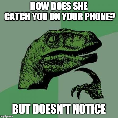 Philosoraptor Meme | HOW DOES SHE CATCH YOU ON YOUR PHONE? BUT DOESN'T NOTICE | image tagged in memes,philosoraptor | made w/ Imgflip meme maker