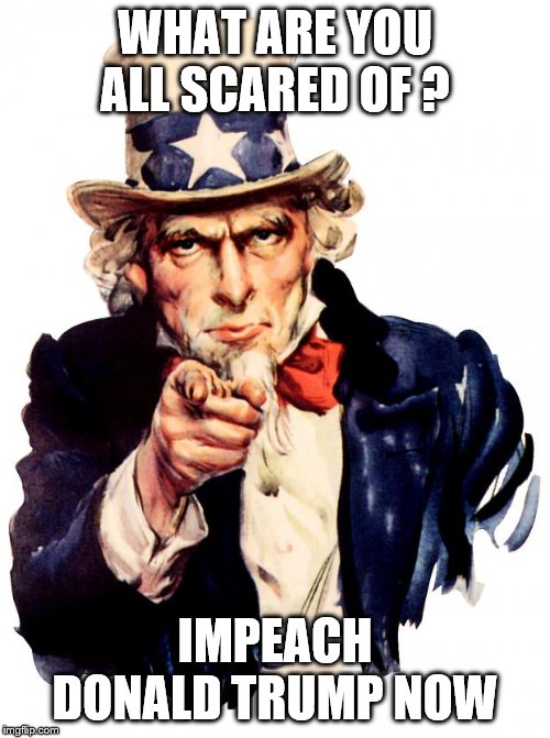 what are you all scared of? | WHAT ARE YOU ALL SCARED OF ? IMPEACH DONALD TRUMP NOW | image tagged in memes,uncle sam,trump,meme,scared,funny | made w/ Imgflip meme maker