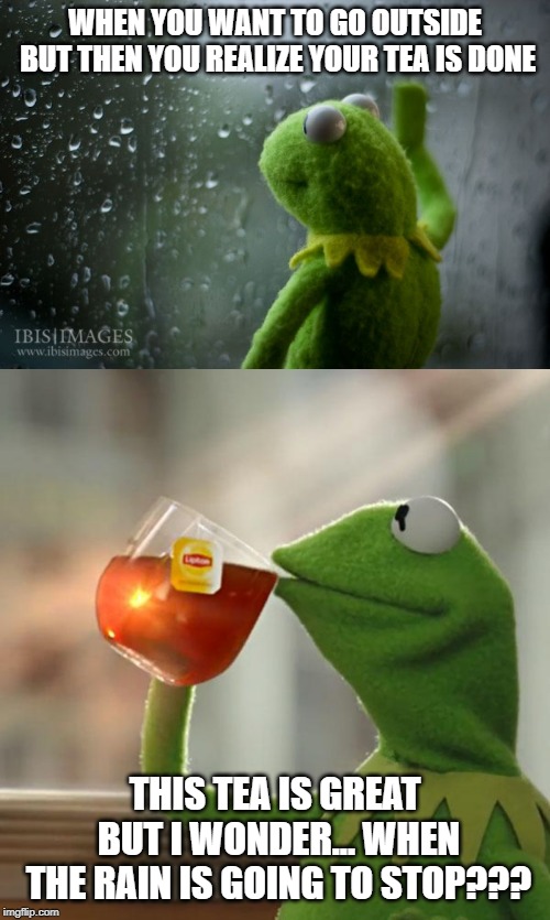 WHEN YOU WANT TO GO OUTSIDE BUT THEN YOU REALIZE YOUR TEA IS DONE; THIS TEA IS GREAT BUT I WONDER... WHEN THE RAIN IS GOING TO STOP??? | image tagged in memes,but thats none of my business,kermit window | made w/ Imgflip meme maker