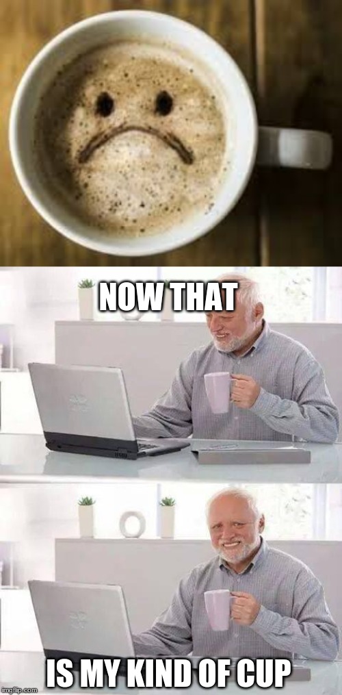 depresso espresso | NOW THAT; IS MY KIND OF CUP | image tagged in memes,hide the pain harold | made w/ Imgflip meme maker