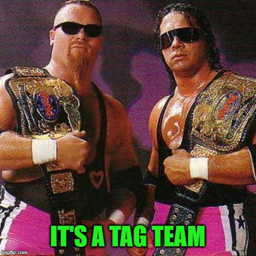 Tag Team | IT'S A TAG TEAM | image tagged in tag team | made w/ Imgflip meme maker