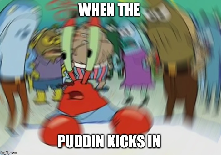 Mr Krabs Blur Meme | WHEN THE; PUDDIN KICKS IN | image tagged in memes,mr krabs blur meme | made w/ Imgflip meme maker