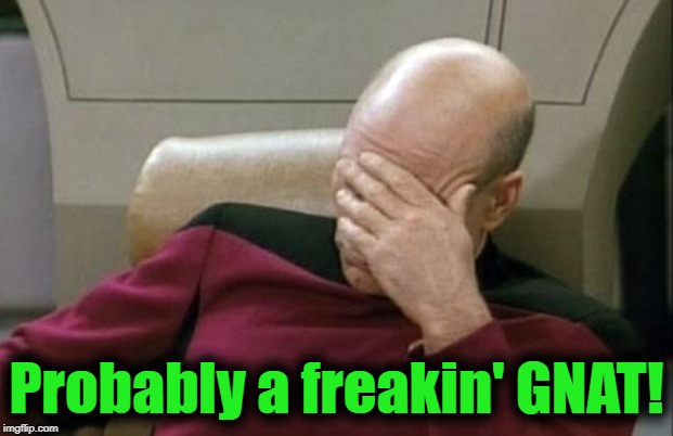 Captain Picard Facepalm Meme | Probably a freakin' GNAT! | image tagged in memes,captain picard facepalm | made w/ Imgflip meme maker