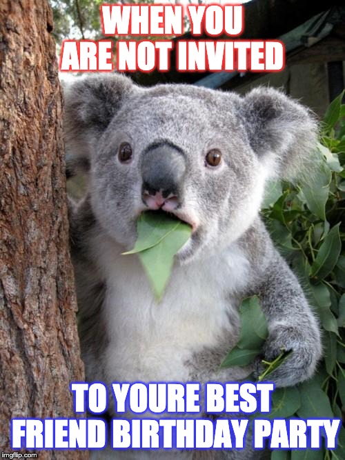 Surprised Koala | WHEN YOU ARE NOT INVITED; TO YOURE BEST FRIEND BIRTHDAY PARTY | image tagged in memes,surprised koala | made w/ Imgflip meme maker