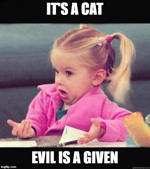 I dont know girl | IT'S A CAT EVIL IS A GIVEN | image tagged in i dont know girl | made w/ Imgflip meme maker