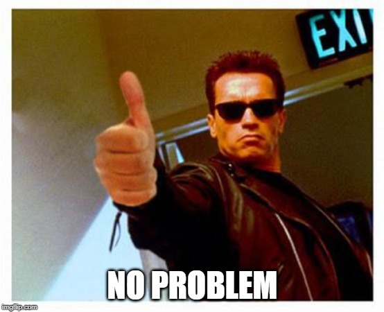 terminator thumbs up | NO PROBLEM | image tagged in terminator thumbs up | made w/ Imgflip meme maker