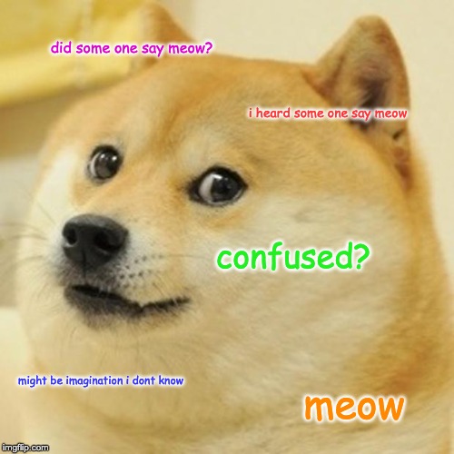 Doge | did some one say meow? i heard some one say meow; confused? might be imagination i dont know; meow | image tagged in memes,doge | made w/ Imgflip meme maker
