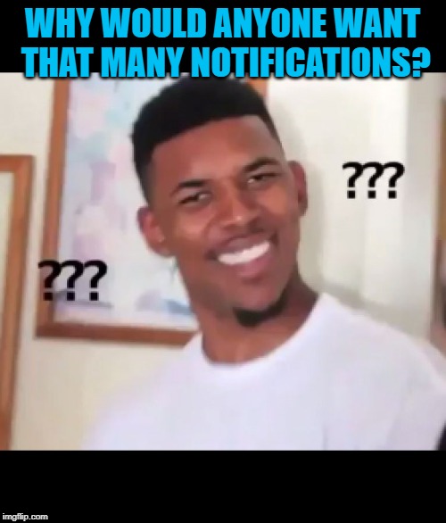 what the fuck n*gga wtf | WHY WOULD ANYONE WANT THAT MANY NOTIFICATIONS? | image tagged in what the fuck ngga wtf | made w/ Imgflip meme maker