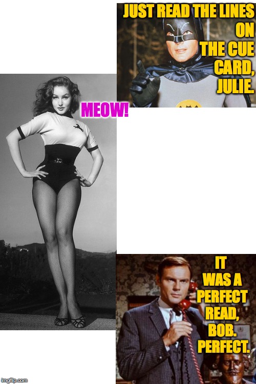 Julie Newmar auditions for the part of Catwoman on the Batman series, 1966. | JUST READ THE LINES; ON THE CUE CARD, JULIE. MEOW! IT WAS A PERFECT READ, BOB.  PERFECT. | image tagged in blank white template,batman-adam west,julie newmar,catwoman | made w/ Imgflip meme maker