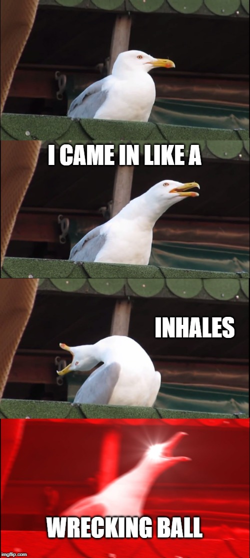 Inhaling Seagull | I CAME IN LIKE A; INHALES; WRECKING BALL | image tagged in memes,inhaling seagull | made w/ Imgflip meme maker
