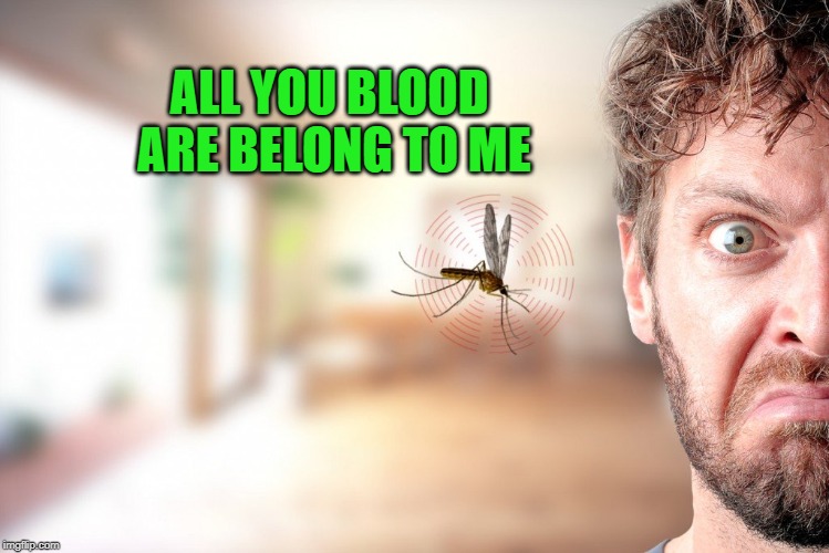 Annoying Mosquito | ALL YOU BLOOD ARE BELONG TO ME | image tagged in annoying mosquito | made w/ Imgflip meme maker