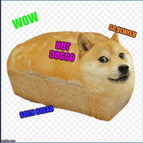 WOW; SO DEWISH; NOT DOGGO; SUCH BREAD | image tagged in doge,bread,much wow,wow | made w/ Imgflip meme maker