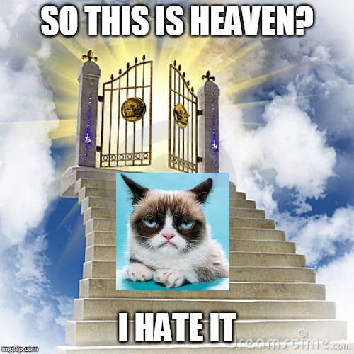 Heaven gates  | SO THIS IS HEAVEN? I HATE IT | image tagged in heaven gates | made w/ Imgflip meme maker