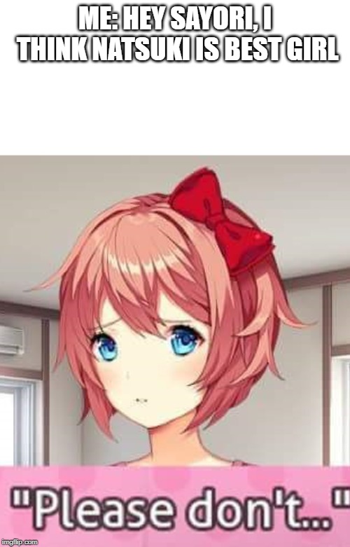 Please don't | ME: HEY SAYORI, I THINK NATSUKI IS BEST GIRL | image tagged in please don't | made w/ Imgflip meme maker