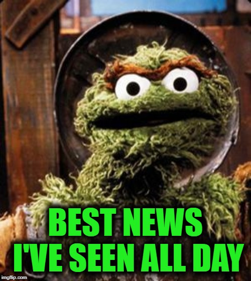 Oscar the Grouch | BEST NEWS I'VE SEEN ALL DAY | image tagged in oscar the grouch | made w/ Imgflip meme maker