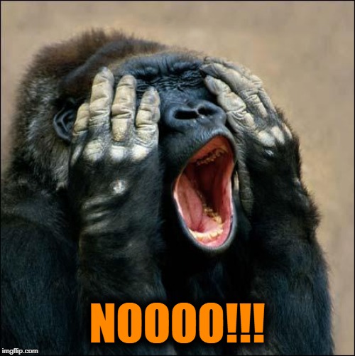 Gorilla covering eyes | NOOOO!!! | image tagged in gorilla covering eyes | made w/ Imgflip meme maker