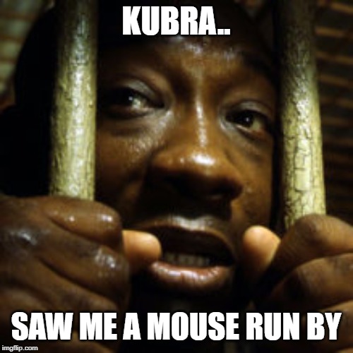 KUBRA.. SAW ME A MOUSE RUN BY | made w/ Imgflip meme maker