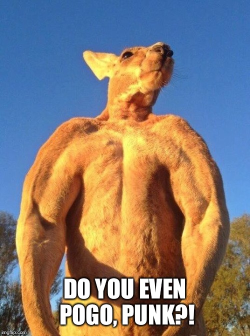 Do you even lift kangaroo | DO YOU EVEN POGO, PUNK?! | image tagged in do you even lift kangaroo | made w/ Imgflip meme maker