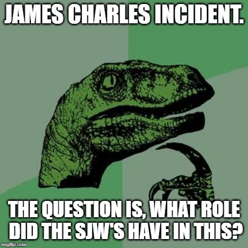 Philosoraptor Meme | JAMES CHARLES INCIDENT. THE QUESTION IS, WHAT ROLE DID THE SJW'S HAVE IN THIS? | image tagged in memes,philosoraptor | made w/ Imgflip meme maker