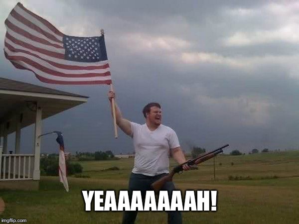 American flag shotgun guy | YEAAAAAAAH! | image tagged in american flag shotgun guy | made w/ Imgflip meme maker