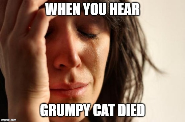 First World Problems Meme | WHEN YOU HEAR; GRUMPY CAT DIED | image tagged in memes,first world problems | made w/ Imgflip meme maker