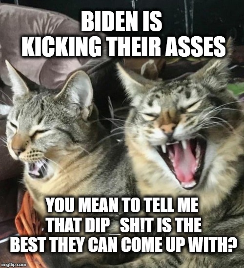 Biden is the best they can do? | BIDEN IS KICKING THEIR ASSES; YOU MEAN TO TELL ME THAT DIP_SH!T IS THE BEST THEY CAN COME UP WITH? | image tagged in politics,political meme,political,conservatives | made w/ Imgflip meme maker