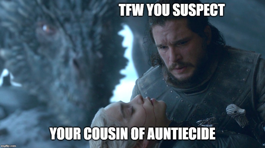 auntiecide | TFW YOU SUSPECT; YOUR COUSIN OF AUNTIECIDE | image tagged in jon snow,dany,drogon | made w/ Imgflip meme maker