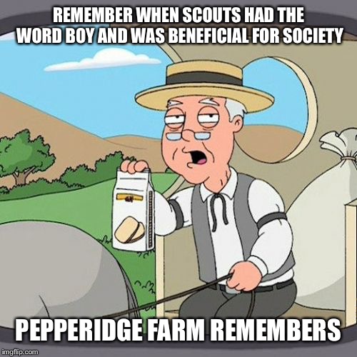 Pepperidge Farm Remembers Meme | REMEMBER WHEN SCOUTS HAD THE WORD BOY AND WAS BENEFICIAL FOR SOCIETY; PEPPERIDGE FARM REMEMBERS | image tagged in memes,pepperidge farm remembers | made w/ Imgflip meme maker