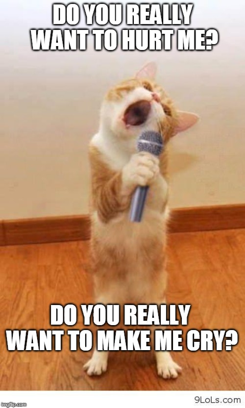 Cat Singer | DO YOU REALLY WANT TO HURT ME? DO YOU REALLY WANT TO MAKE ME CRY? | image tagged in cat singer | made w/ Imgflip meme maker
