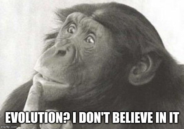 Monkey with doubts | EVOLUTION? I DON'T BELIEVE IN IT | image tagged in monkey,human evolution | made w/ Imgflip meme maker