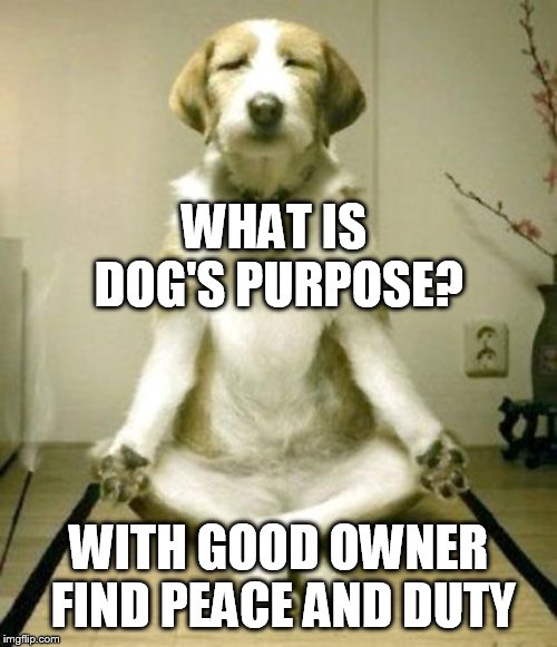 thought for the day | WHAT IS DOG'S PURPOSE? WITH GOOD OWNER FIND PEACE AND DUTY | image tagged in inner peace dog | made w/ Imgflip meme maker