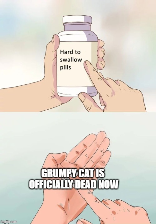 Hard To Swallow Pills Meme | GRUMPY CAT IS OFFICIALLY DEAD NOW | image tagged in memes,hard to swallow pills | made w/ Imgflip meme maker