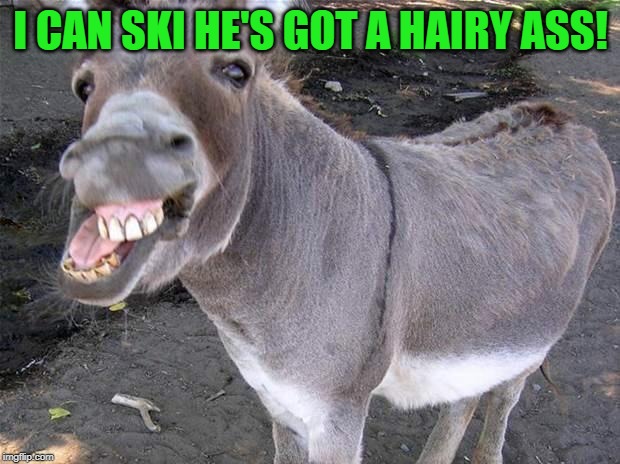 Jack ass | I CAN SKI HE'S GOT A HAIRY ASS! | image tagged in jack ass | made w/ Imgflip meme maker