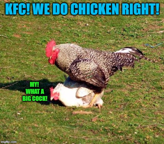 chicken sex | KFC! WE DO CHICKEN RIGHT! MY! WHAT A BIG COCK! | image tagged in chicken sex | made w/ Imgflip meme maker